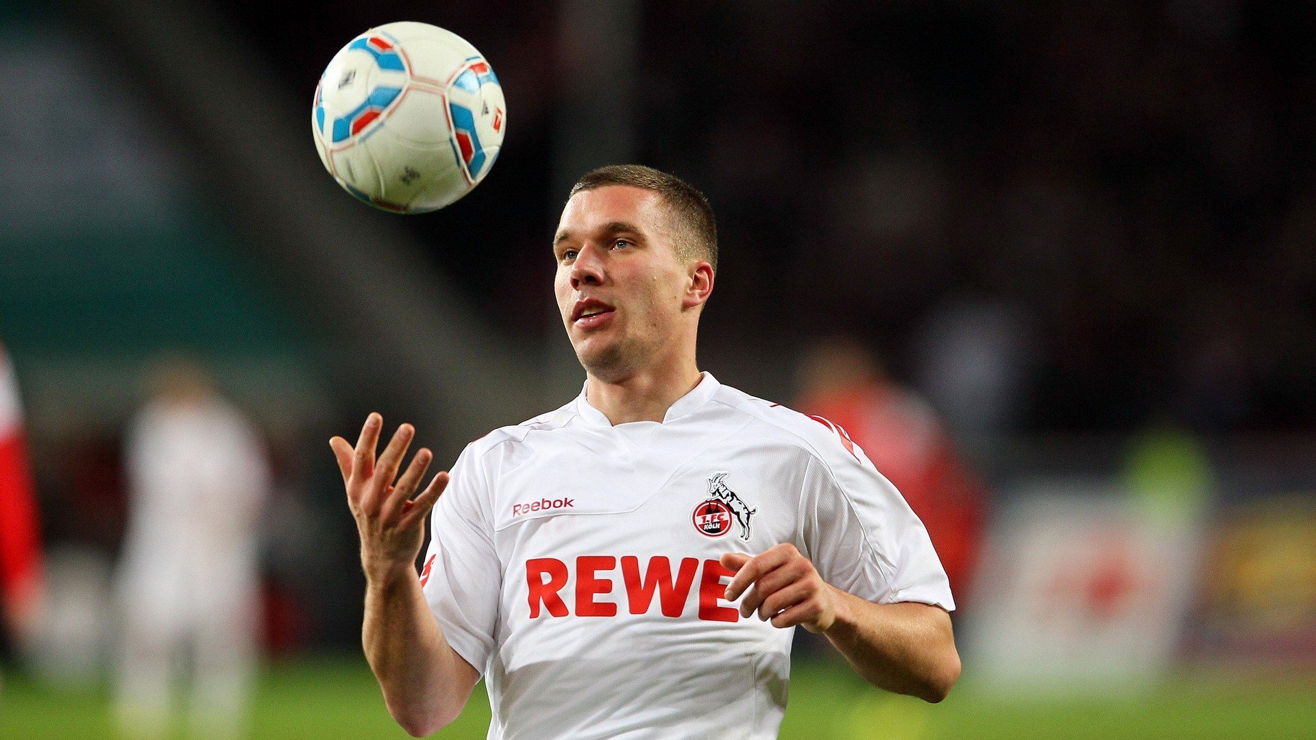 切特·霍姆格伦,魔术森林中,一棵新树正定义天空