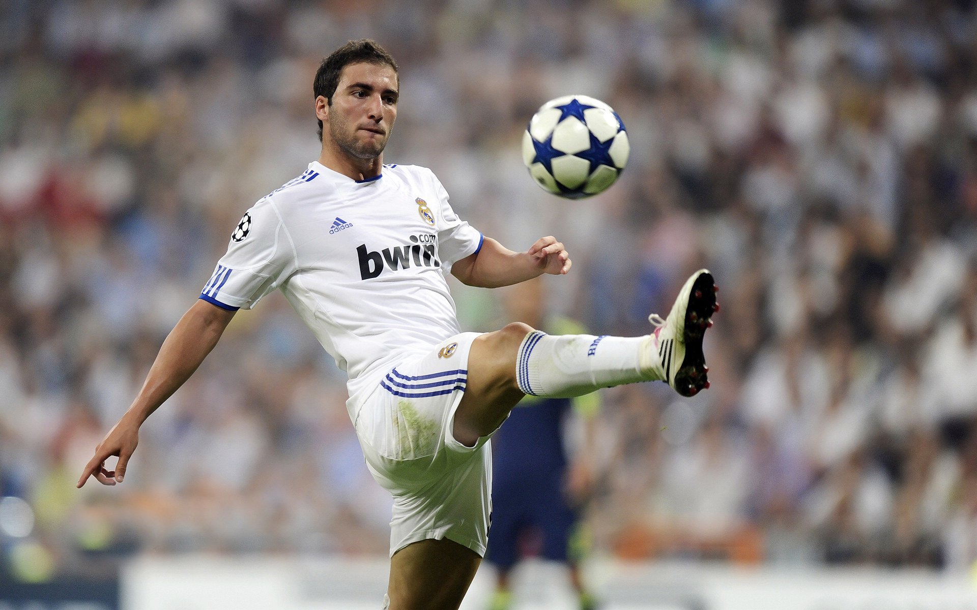 哈利伯顿的魔法，当印第安纳的月光照亮美加墨之夜