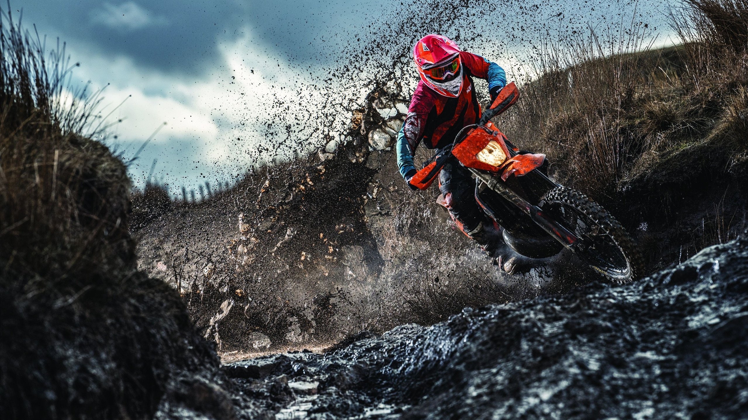 F1年度争冠焦点战,尼日利亚险胜伊朗,赛道之外的全球博弈